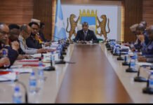 Somali Cabinet Approves New Agreements with Saudi Arabia