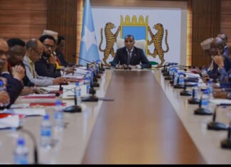 Somali Cabinet Approves New Agreements with Saudi Arabia