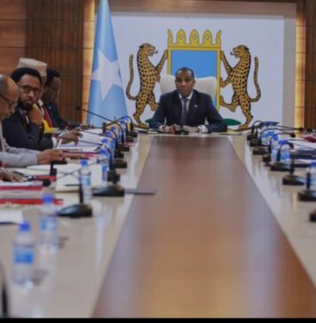 Somali Cabinet Approves New Agreements with Saudi Arabia