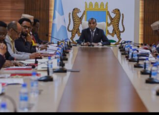 Somalia Approves New 2025–2030 Weapons Management Strategy
