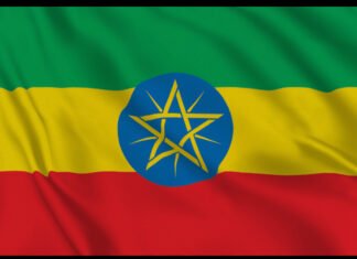 Ethiopia Confirms Presence of Eritrean Troops Inside Its Territory for First Time