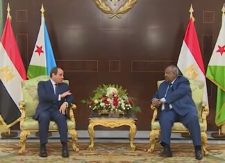 Cairo Eyes Djibouti Port Project Amid Ethiopian Tensions