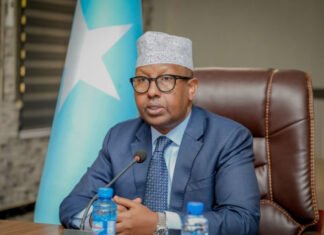 Somali Defence Minister Travels to Egypt for Strategic Talks