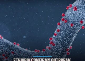 WHO Confirms Deadly Marburg Outbreak in Southern Ethiopia