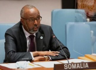 Somalia Backs UN Vote to Deploy International Stabilization Force to Gaza