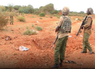 Al-Shabaab Bomb Kills Two Kenyan Border Officers Near Somalia Frontier