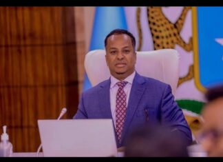 Somalia Reaffirms Commitment to Maritime Security and Protection of Vital Shipping Lanes