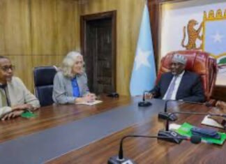 Somalia, European Union Discuss Strengthening Rule of Law and Constitutional Reform