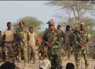 Somali Forces Intensify Operations in Yaaq Bari-Weyne