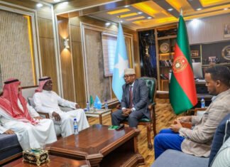 Somalia, Saudi Arabia Discuss Enhanced Defence Cooperation