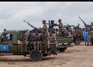 Somali Army Launches Major Offensive Near Balcad to Reclaim Key Territory