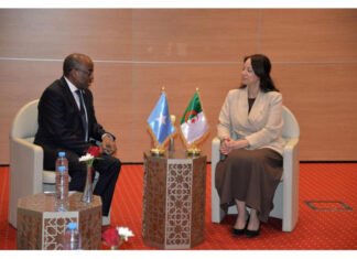 Somali Minister Joins Africa Conference on Colonial-Era Crimes