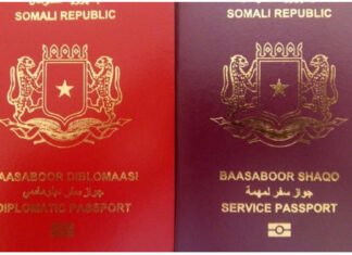 Germany Grants Full Recognition to Somali Diplomatic Passport