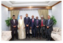 Somali PM Meets Global Peace Delegation
