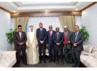Somali PM Meets Global Peace Delegation