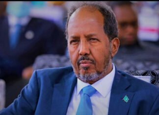 Somali President Agrees to Opposition Proposal for Election Talks, Sources Say