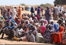 RSF Accused of Mass Sexual Violence in Darfur