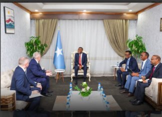 Mogadishu, Moscow Eye Deeper Cooperation After High-Level Meeting