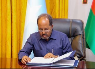 Somali President Signs Law Establishing National Human Rights Commission