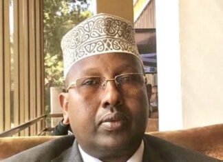 Minister Fiqi Hits Back at Sheikh Sharif Over ‘Confusing’ Pre-Election Claims