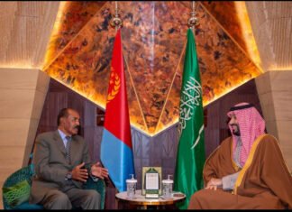 Saudi Crown Prince Holds High-Level Talks With Eritrean President in Riyadh