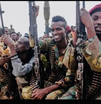 UN Praises Somalia, Drops Security Forces from Child Recruitment List