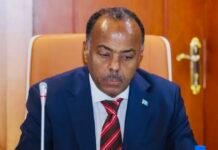 Somali Government Firmly Denies Opening Diplomatic Relations with Israel