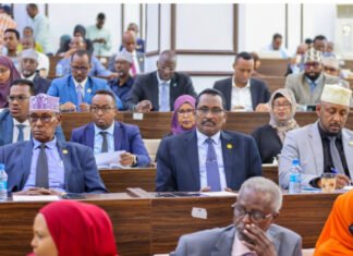 Dispute Erupts in Somalia Parliament Over Police Bill