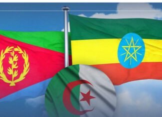 Ethiopia–Eritrea Tensions: Four Countries Urge Respect for Peace Accord