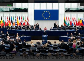 EU Expected to Resume Funding for AU Mission in Somalia in Early 2026