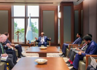 President Hassan Sheikh Holds Talks with Swedish Minister in Mogadishu