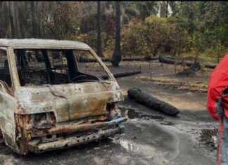 Suicide Bomber Kills Five Soldiers in Northeast Nigeria: