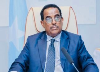 Somali Minister Criticises Opposition Conference in Kismayo