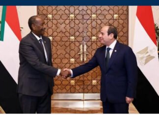 Egypt, Sudan Call for Activation of Joint Defense Agreement