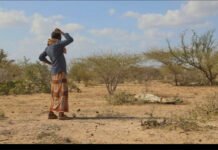 Humanitarian crisis deepens amid funding gap in Somalia