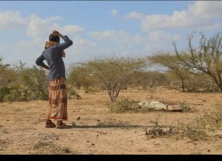 Humanitarian crisis deepens amid funding gap in Somalia