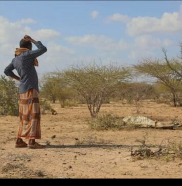 Humanitarian crisis deepens amid funding gap in Somalia