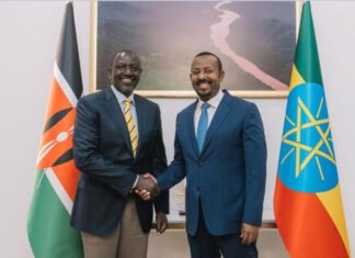 Abiy Ahmed Meets Kenyan President Ruto in Addis Ababa