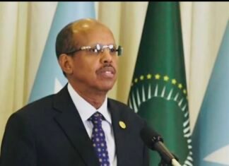 African Union Opposes Any Recognition of Somaliland