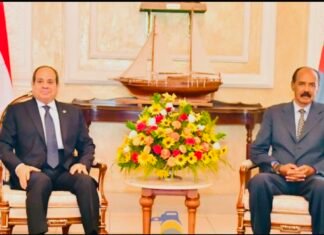 Egypt to Develop Ports in Eritrea and Djibouti