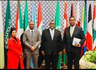 Somali Ambassador to Egypt Condemns Israel’s Move on Somaliland