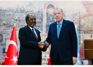 Turkey Backed Somalia Amid Sovereignty Threats