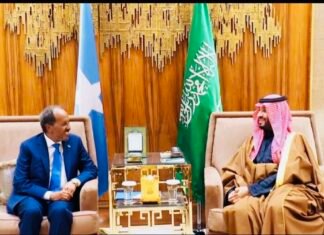 Somali President Expected to Visit Saudi Arabia, Egypt Amid Regional Tensions
