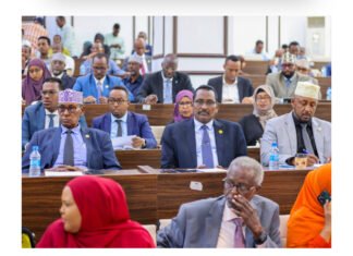 Somalia’s Lower House Approves Landmark Medicines Bill