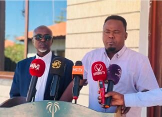 Somaliland MPs Denounce Arrests Linked to Palestinian Flag