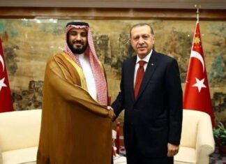 Turkey Seeks Stronger Saudi Ties, Focus on Somalia and Yemen