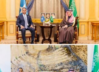 Saudi Engages Somalia, Djibouti on Horn of Africa