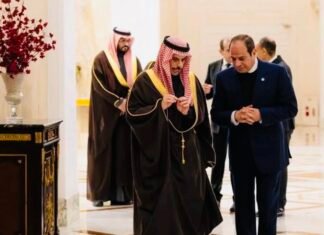 Cairo, Riyadh Coordinate on Gaza and Horn of Africa Threats