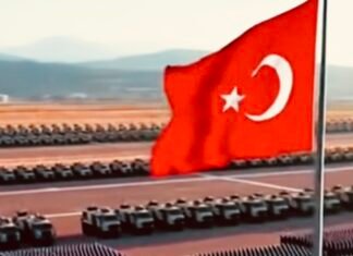 Erdogan Warns UAE Leader Over Yemen and Somalia Policies