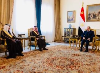 Egypt and Saudi Arabia Back Peace Efforts in Somalia, Sudan, Yemen